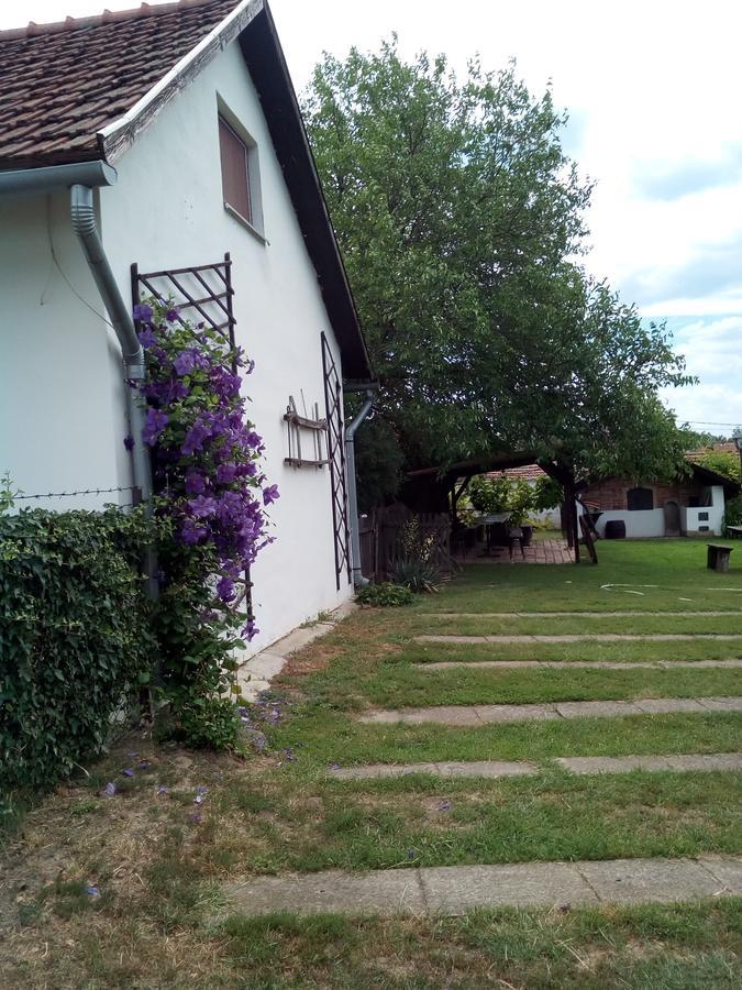 Kiad-Lak Apartmanok - Szep Kartya Elfogado Abádszalók Esterno foto